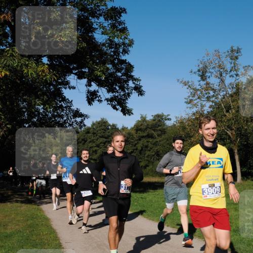 28.09.2025 - 33. Volkslauf durch das schöne Alstertal Fabian Wolf http://msf.ph/oto/8979906 28.09.2025 10:34:37 Laufen 13178, 3909 meine-sportfotos.de