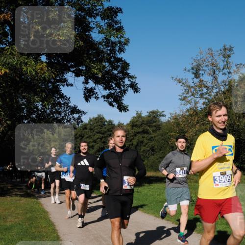 28.09.2025 - 33. Volkslauf durch das schöne Alstertal Fabian Wolf http://msf.ph/oto/8979907 28.09.2025 10:34:37 Laufen 13, 3308, 3411, 3909 meine-sportfotos.de