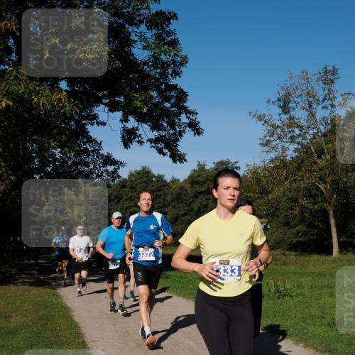 28.09.2025 - 33. Volkslauf durch das schöne Alstertal Fabian Wolf http://msf.ph/oto/8980021 28.09.2025 10:34:52 Laufen 3931, 3188, 3372, 333 meine-sportfotos.de
