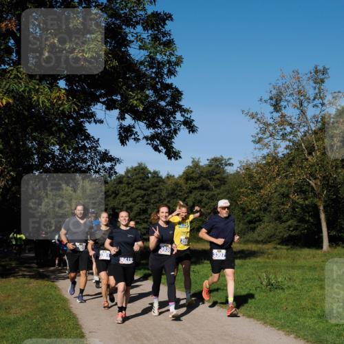 28.09.2025 - 33. Volkslauf durch das schöne Alstertal Fabian Wolf http://msf.ph/oto/8980068 28.09.2025 10:35:03 Laufen 5210, 3936, 390, 3307 meine-sportfotos.de