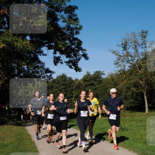 28.09.2025 - 33. Volkslauf durch das schöne Alstertal Fabian Wolf http://msf.ph/oto/8980072 28.09.2025 10:35:04 Laufen 3959, 3351, 3410, 3936, 3307 meine-sportfotos.de