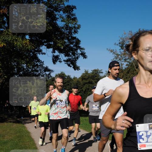 28.09.2025 - 33. Volkslauf durch das schöne Alstertal Fabian Wolf http://msf.ph/oto/8980123 28.09.2025 10:35:12 Laufen 3331, 3046, 13287, 32 meine-sportfotos.de