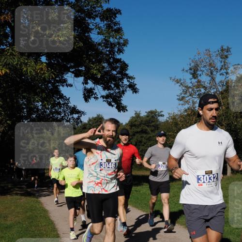 28.09.2025 - 33. Volkslauf durch das schöne Alstertal Fabian Wolf http://msf.ph/oto/8980125 28.09.2025 10:35:12 Laufen 3331, 3046, 13287, 3032, 1 meine-sportfotos.de