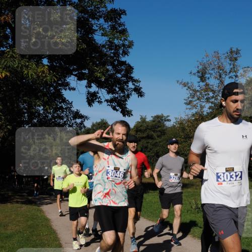 28.09.2025 - 33. Volkslauf durch das schöne Alstertal Fabian Wolf http://msf.ph/oto/8980126 28.09.2025 10:35:12 Laufen 3046, 3287, 3032 meine-sportfotos.de