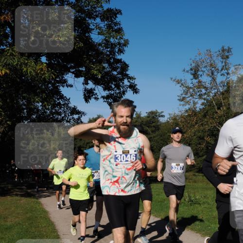 28.09.2025 - 33. Volkslauf durch das schöne Alstertal Fabian Wolf http://msf.ph/oto/8980128 28.09.2025 10:35:12 Laufen 956, 3046, 3287 meine-sportfotos.de