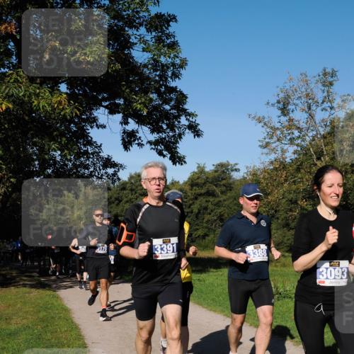 28.09.2025 - 33. Volkslauf durch das schöne Alstertal Fabian Wolf http://msf.ph/oto/8980194 28.09.2025 10:35:24 Laufen 3344, 13176, 3391, 3388, 13093 meine-sportfotos.de