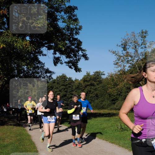 28.09.2025 - 33. Volkslauf durch das schöne Alstertal Fabian Wolf http://msf.ph/oto/8980262 28.09.2025 10:35:33 Laufen 3321, 3193, 949 meine-sportfotos.de