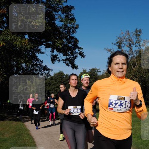 28.09.2025 - 33. Volkslauf durch das schöne Alstertal Fabian Wolf http://msf.ph/oto/8980332 28.09.2025 10:35:41 Laufen 3177, 3056, 3236 meine-sportfotos.de