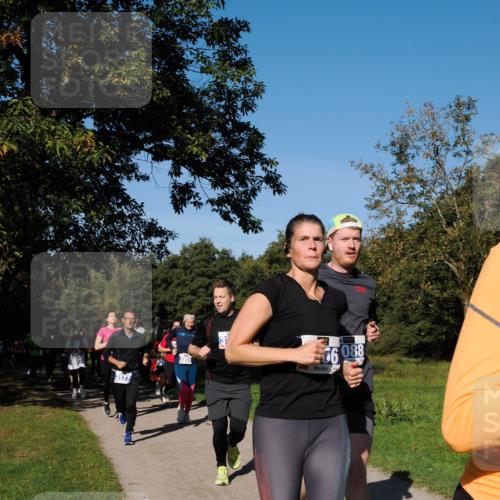 28.09.2025 - 33. Volkslauf durch das schöne Alstertal Fabian Wolf http://msf.ph/oto/8980335 28.09.2025 10:35:42 Laufen 3177, 3355, 66088 meine-sportfotos.de