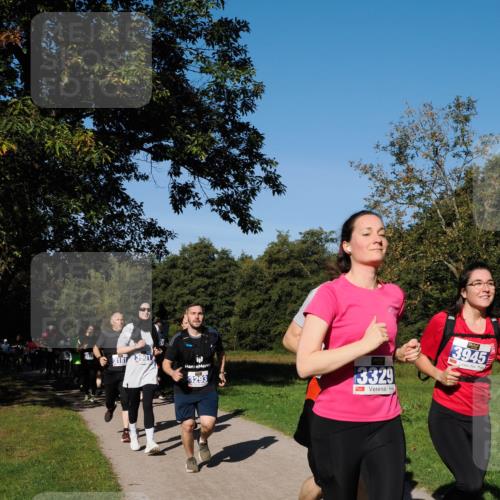 28.09.2025 - 33. Volkslauf durch das schöne Alstertal Fabian Wolf http://msf.ph/oto/8980356 28.09.2025 10:35:45 Laufen 3181, 3901, 3293, 13329, 3945 meine-sportfotos.de