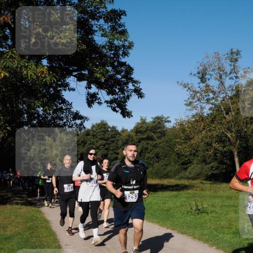 28.09.2025 - 33. Volkslauf durch das schöne Alstertal Fabian Wolf http://msf.ph/oto/8980364 28.09.2025 10:35:46 Laufen 3181, 3293, 20 meine-sportfotos.de