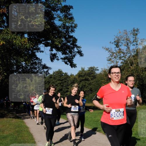 28.09.2025 - 33. Volkslauf durch das schöne Alstertal Fabian Wolf http://msf.ph/oto/8980388 28.09.2025 10:35:50 Laufen 3135, 120, 3119, 32, 3006 meine-sportfotos.de