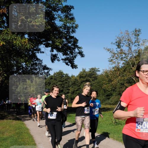 28.09.2025 - 33. Volkslauf durch das schöne Alstertal Fabian Wolf http://msf.ph/oto/8980391 28.09.2025 10:35:50 Laufen 3135, 3120, 3119, 3275, 300 meine-sportfotos.de