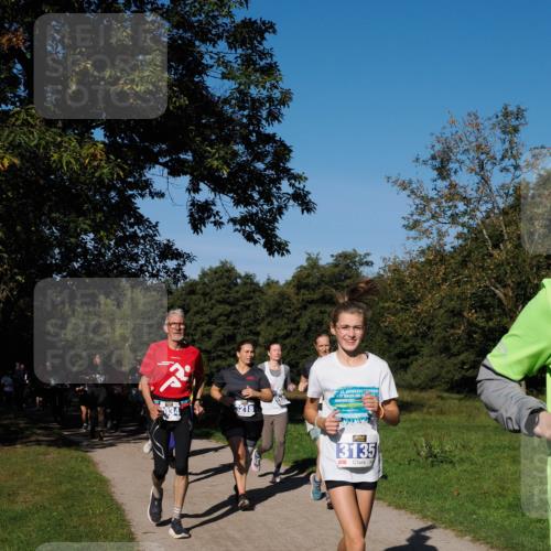 28.09.2025 - 33. Volkslauf durch das schöne Alstertal Fabian Wolf http://msf.ph/oto/8980404 28.09.2025 10:35:54 Laufen 034, 3218, 56, 2025, 3135 meine-sportfotos.de