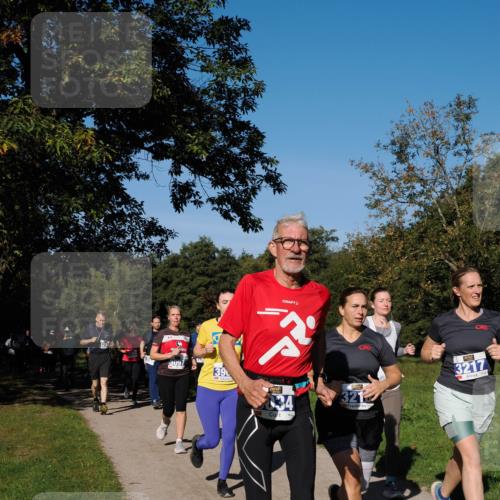 28.09.2025 - 33. Volkslauf durch das schöne Alstertal Fabian Wolf http://msf.ph/oto/8980417 28.09.2025 10:35:55 Laufen 3097, 39, 034, 3217, 321 meine-sportfotos.de
