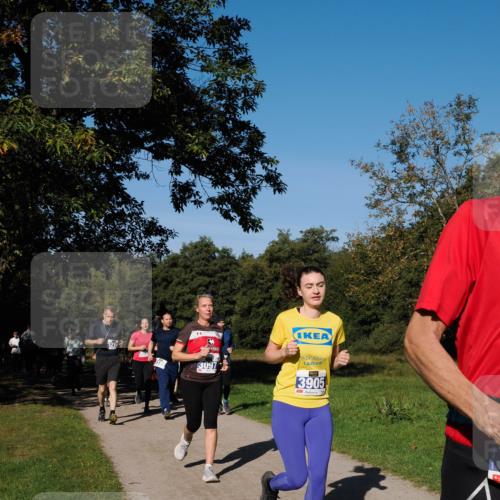 28.09.2025 - 33. Volkslauf durch das schöne Alstertal Fabian Wolf http://msf.ph/oto/8980421 28.09.2025 10:35:56 Laufen 199, 3097, 3905 meine-sportfotos.de