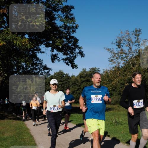28.09.2025 - 33. Volkslauf durch das schöne Alstertal Fabian Wolf http://msf.ph/oto/8980443 28.09.2025 10:36:01 Laufen 3191, 3277, 3144 meine-sportfotos.de