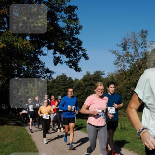 28.09.2025 - 33. Volkslauf durch das schöne Alstertal Fabian Wolf http://msf.ph/oto/8980455 28.09.2025 10:36:03 Laufen 3402, 3141, 3280 meine-sportfotos.de