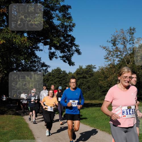 28.09.2025 - 33. Volkslauf durch das schöne Alstertal Fabian Wolf http://msf.ph/oto/8980460 28.09.2025 10:36:03 Laufen 273, 3141 meine-sportfotos.de