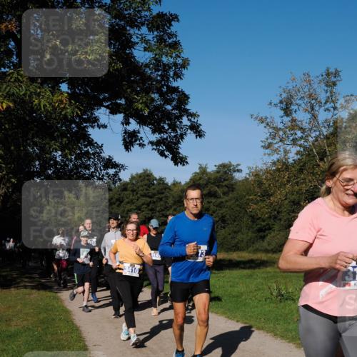 28.09.2025 - 33. Volkslauf durch das schöne Alstertal Fabian Wolf http://msf.ph/oto/8980461 28.09.2025 10:36:03 Laufen 402, 145 meine-sportfotos.de