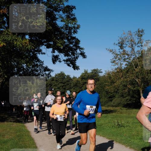28.09.2025 - 33. Volkslauf durch das schöne Alstertal Fabian Wolf http://msf.ph/oto/8980462 28.09.2025 10:36:04 Laufen 3410, 3145, 3273 meine-sportfotos.de