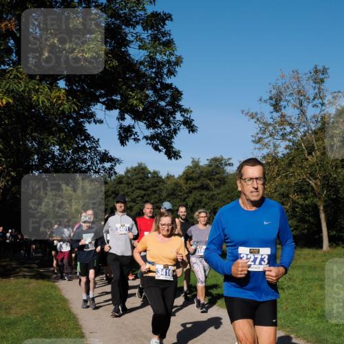 28.09.2025 - 33. Volkslauf durch das schöne Alstertal Fabian Wolf http://msf.ph/oto/8980466 28.09.2025 10:36:04 Laufen 3401, 3410, 3273 meine-sportfotos.de