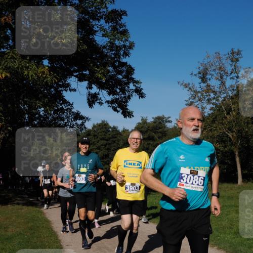 28.09.2025 - 33. Volkslauf durch das schöne Alstertal Fabian Wolf http://msf.ph/oto/8980529 28.09.2025 10:36:13 Laufen 3195, 2025, 3003, 3903, 3086 meine-sportfotos.de