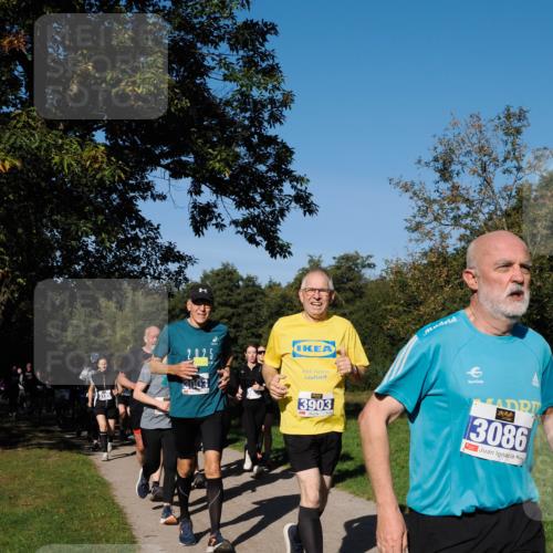 28.09.2025 - 33. Volkslauf durch das schöne Alstertal Fabian Wolf http://msf.ph/oto/8980531 28.09.2025 10:36:13 Laufen 195, 3903, 3086 meine-sportfotos.de