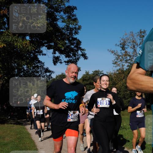 28.09.2025 - 33. Volkslauf durch das schöne Alstertal Fabian Wolf http://msf.ph/oto/8980553 28.09.2025 10:36:16 Laufen 3161, 3195, 3405, 3022 meine-sportfotos.de
