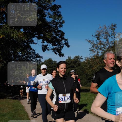 28.09.2025 - 33. Volkslauf durch das schöne Alstertal Fabian Wolf http://msf.ph/oto/8980572 28.09.2025 10:36:18 Laufen 3323, 3195 meine-sportfotos.de