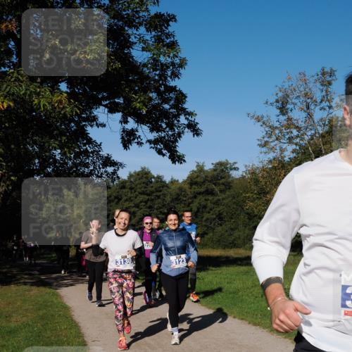 28.09.2025 - 33. Volkslauf durch das schöne Alstertal Fabian Wolf http://msf.ph/oto/8980643 28.09.2025 10:36:27 Laufen 3130, 122, 3123 meine-sportfotos.de