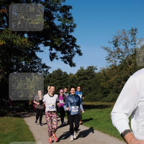28.09.2025 - 33. Volkslauf durch das schöne Alstertal Fabian Wolf http://msf.ph/oto/8980644 28.09.2025 10:36:27 Laufen 3130, 3228, 3123 meine-sportfotos.de