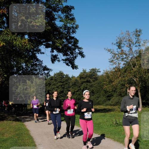 28.09.2025 - 33. Volkslauf durch das schöne Alstertal Fabian Wolf http://msf.ph/oto/8980678 28.09.2025 10:36:33 Laufen 3338, 3397 meine-sportfotos.de