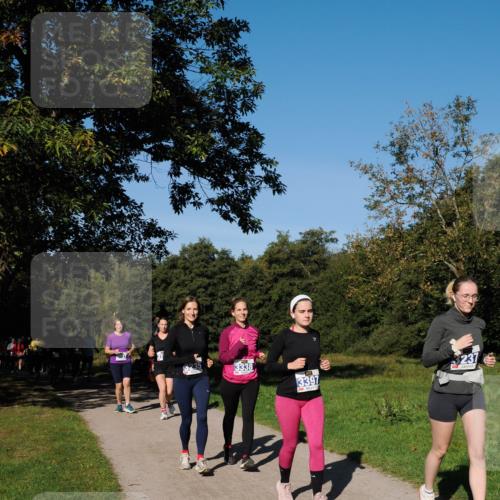 28.09.2025 - 33. Volkslauf durch das schöne Alstertal Fabian Wolf http://msf.ph/oto/8980679 28.09.2025 10:36:33 Laufen 3338, 3397, 3237 meine-sportfotos.de