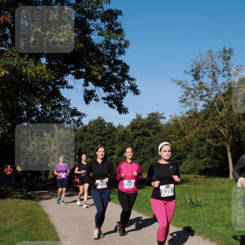 28.09.2025 - 33. Volkslauf durch das schöne Alstertal Fabian Wolf http://msf.ph/oto/8980682 28.09.2025 10:36:33 Laufen 235, 3338, 3397 meine-sportfotos.de