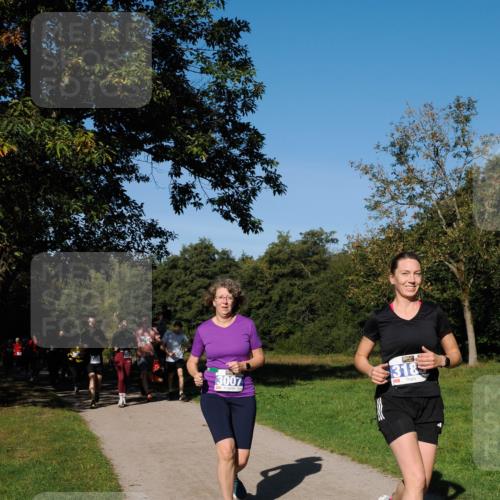 28.09.2025 - 33. Volkslauf durch das schöne Alstertal Fabian Wolf http://msf.ph/oto/8980702 28.09.2025 10:36:37 Laufen 3007, 318 meine-sportfotos.de