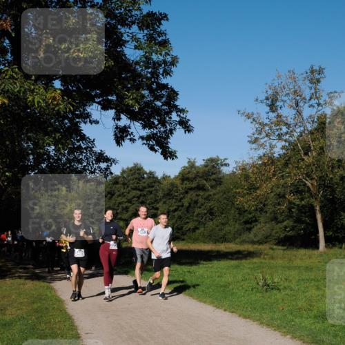 28.09.2025 - 33. Volkslauf durch das schöne Alstertal Fabian Wolf http://msf.ph/oto/8980714 28.09.2025 10:36:39 Laufen 3409, 323, 3413 meine-sportfotos.de
