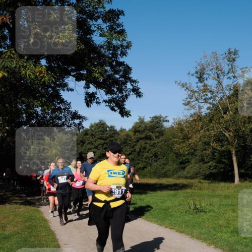 28.09.2025 - 33. Volkslauf durch das schöne Alstertal Fabian Wolf http://msf.ph/oto/8980743 28.09.2025 10:36:43 Laufen 3281, 3251, 3911 meine-sportfotos.de