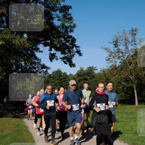 28.09.2025 - 33. Volkslauf durch das schöne Alstertal Fabian Wolf http://msf.ph/oto/8980753 28.09.2025 10:36:45 Laufen 32, 3281, 3072, 102, 3103 meine-sportfotos.de