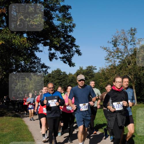 28.09.2025 - 33. Volkslauf durch das schöne Alstertal Fabian Wolf http://msf.ph/oto/8980757 28.09.2025 10:36:45 Laufen 126, 32, 328, 325, 3072, 3102 meine-sportfotos.de