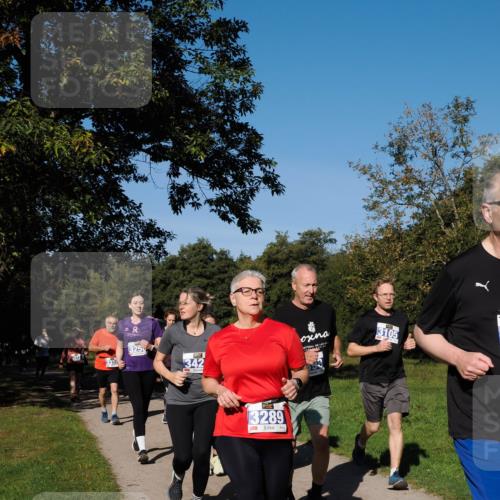 28.09.2025 - 33. Volkslauf durch das schöne Alstertal Fabian Wolf http://msf.ph/oto/8980806 28.09.2025 10:36:52 Laufen 2, 325, 342, 3289, 3105 meine-sportfotos.de