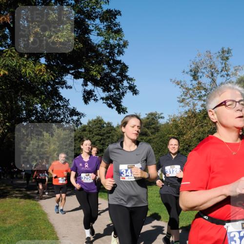 28.09.2025 - 33. Volkslauf durch das schöne Alstertal Fabian Wolf http://msf.ph/oto/8980814 28.09.2025 10:36:52 Laufen 3332, 2, 3258, 345, 3128, 2, 32 meine-sportfotos.de
