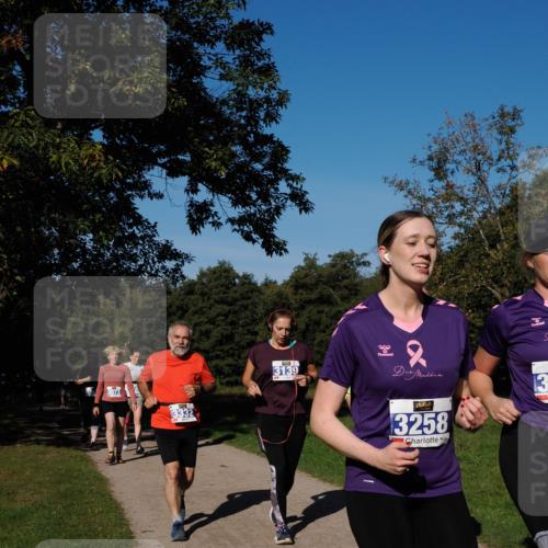 28.09.2025 - 33. Volkslauf durch das schöne Alstertal Fabian Wolf http://msf.ph/oto/8980821 28.09.2025 10:36:54 Laufen 3073, 3332, 3139, 18, 3258, 31, 13 meine-sportfotos.de