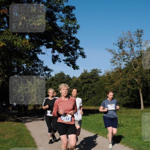 28.09.2025 - 33. Volkslauf durch das schöne Alstertal Fabian Wolf http://msf.ph/oto/8980843 28.09.2025 10:36:58 Laufen 3073, 3058 meine-sportfotos.de