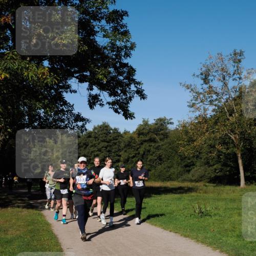 28.09.2025 - 33. Volkslauf durch das schöne Alstertal Fabian Wolf http://msf.ph/oto/8980911 28.09.2025 10:37:12 Laufen 3154, 3153, 3165 meine-sportfotos.de