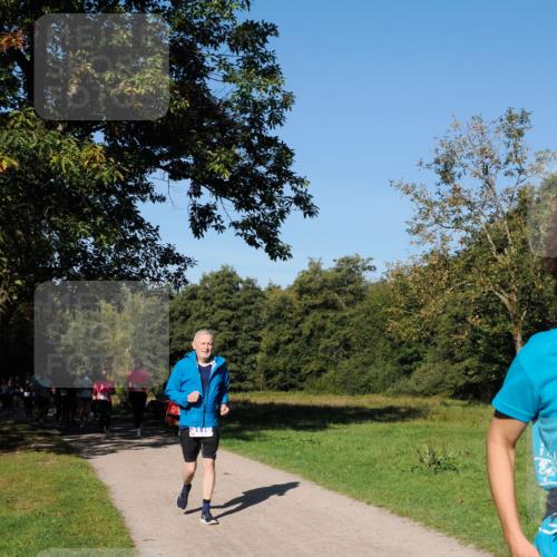 28.09.2025 - 33. Volkslauf durch das schöne Alstertal Fabian Wolf http://msf.ph/oto/8980970 28.09.2025 10:37:34 Laufen 310 meine-sportfotos.de