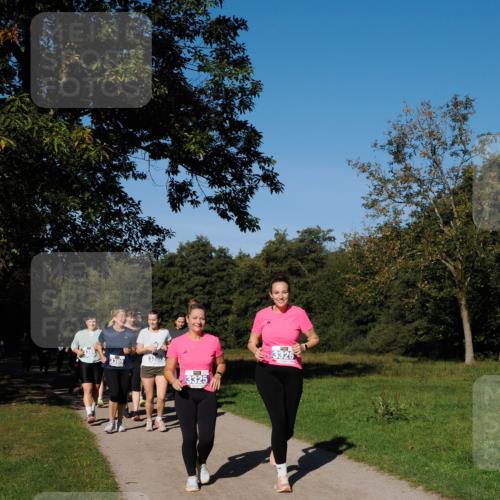 28.09.2025 - 33. Volkslauf durch das schöne Alstertal Fabian Wolf http://msf.ph/oto/8980987 28.09.2025 10:37:41 Laufen 3389, 3325, 3326 meine-sportfotos.de