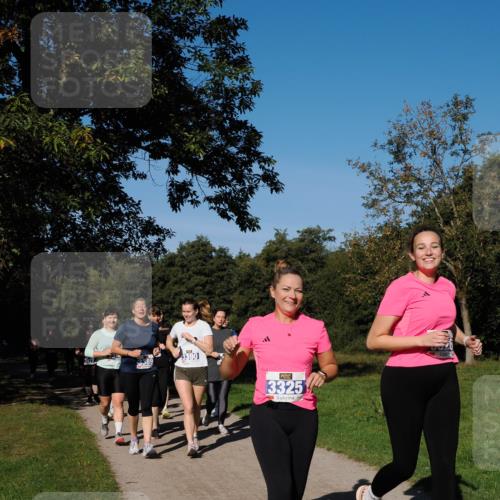 28.09.2025 - 33. Volkslauf durch das schöne Alstertal Fabian Wolf http://msf.ph/oto/8980999 28.09.2025 10:37:42 Laufen 85, 3390, 13325 meine-sportfotos.de