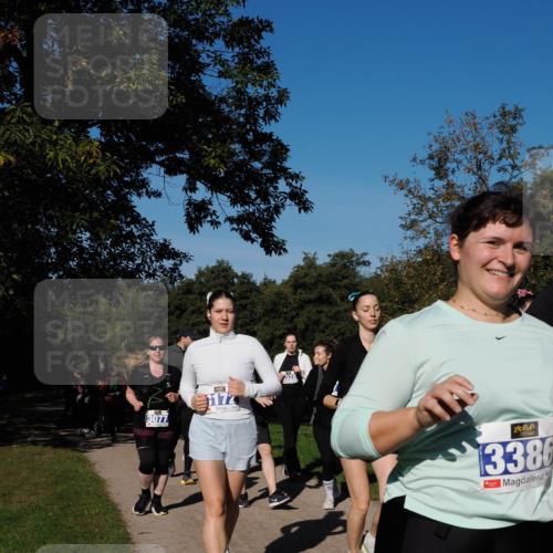 28.09.2025 - 33. Volkslauf durch das schöne Alstertal Fabian Wolf http://msf.ph/oto/8981017 28.09.2025 10:37:46 Laufen 3077, 172, 3386 meine-sportfotos.de