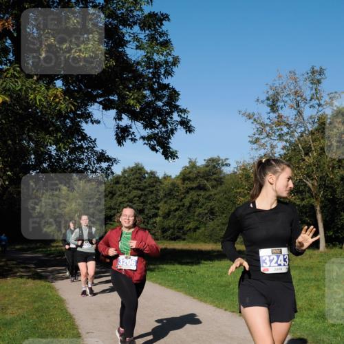 28.09.2025 - 33. Volkslauf durch das schöne Alstertal Fabian Wolf http://msf.ph/oto/8981031 28.09.2025 10:37:51 Laufen 3206, 3243 meine-sportfotos.de